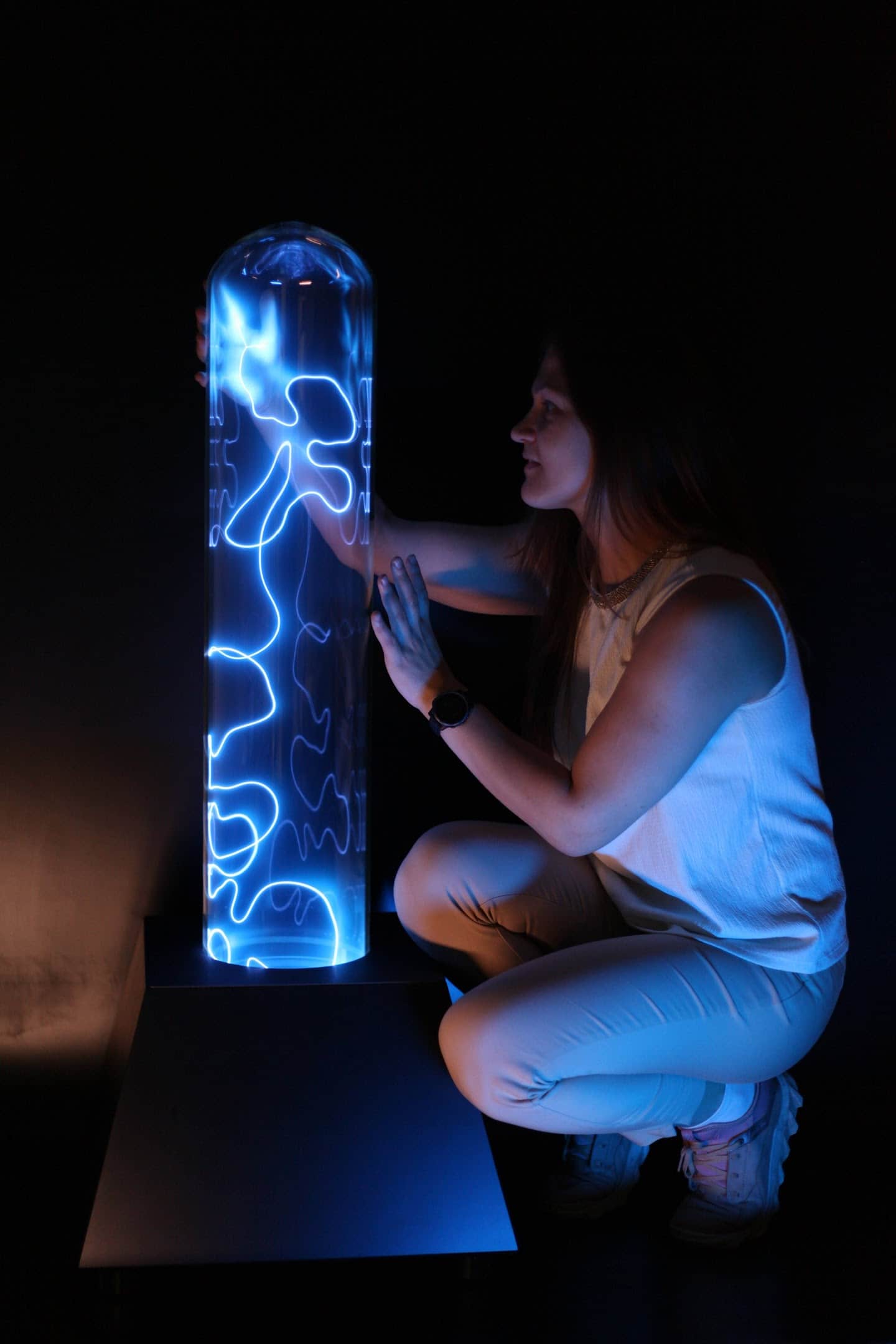 Real plasma glass - TeslaCoilPro workshop photograph